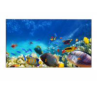 BE-49C5